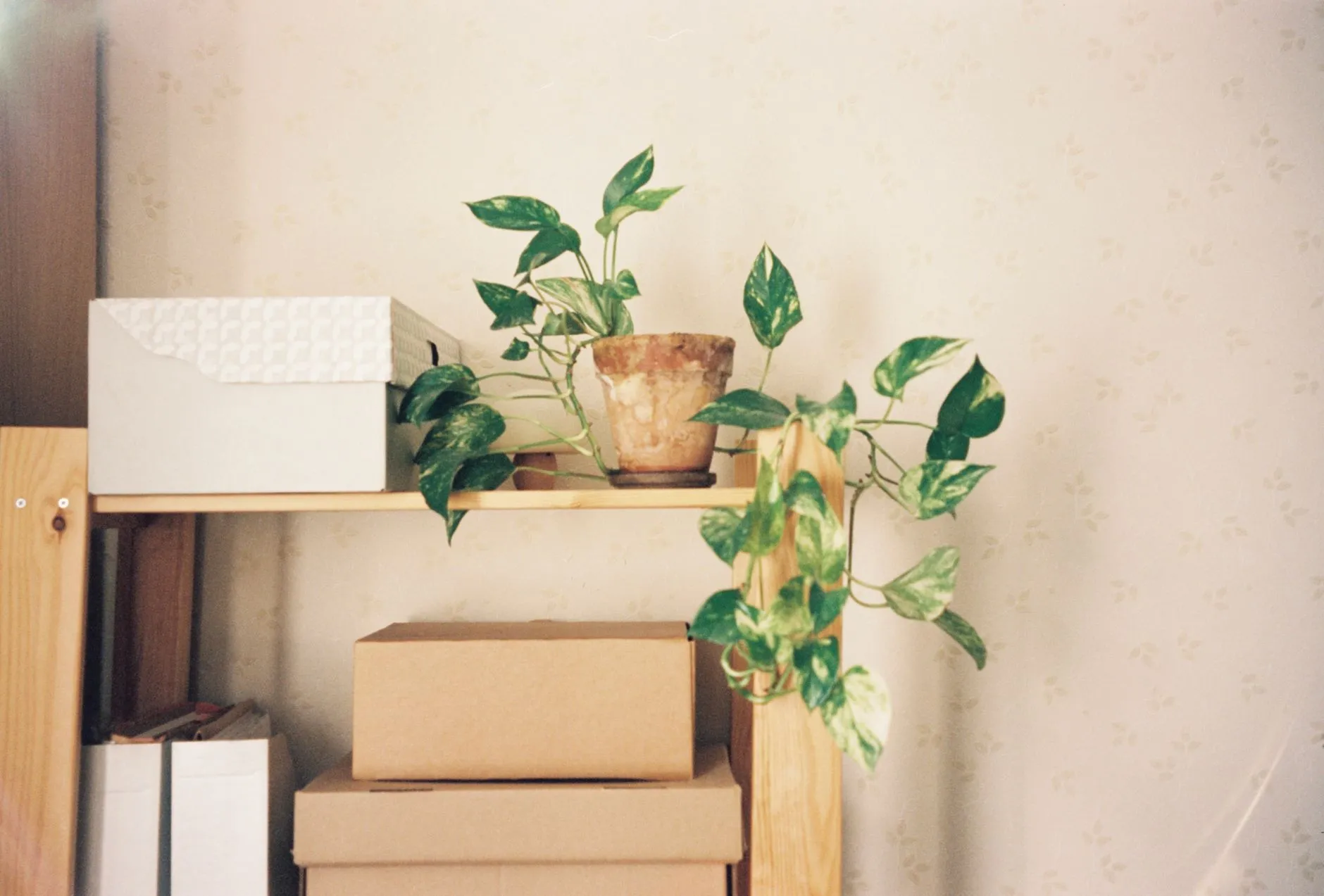 2025年家居用品行业技术升级趋势与新材料应用前景分析正文配图 1